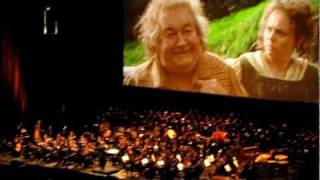 The Lord of the Rings in Concert The ProphecyConcerning Hobbits live in Sacramento [upl. by Ailina939]