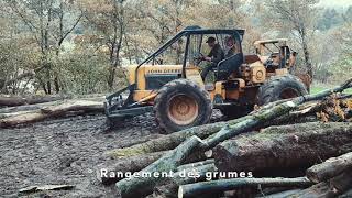 Abattage  du bûcheron au grumier Vosges 2021 🌲🚜🚚🇨🇵 [upl. by Direj]