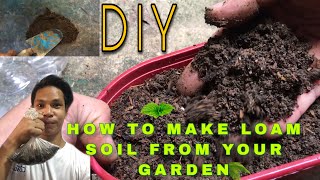 HOW TO MAKE LOAM SOIL DIY  SIMPLE HACK FOR YOUR PLANTS  Plantitos  Plantitas [upl. by Greeley48]