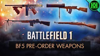 Battlefield 1 BF5 PREORDER GUNS REVIEW Weapon Guide  BF1 New Weapons  Battlefield 5 Preorder [upl. by Upshaw]