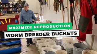 How I Use Worm Breeder Buckets [upl. by Llewxam]