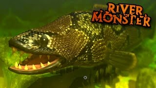 River Monster SnakeHead  Feed And Grow  Ep8 [upl. by Liman653]