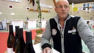 blog vidéo Gilles Limone Pdt salon vins Chavanay [upl. by Yrrad]