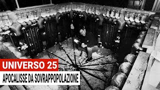 Universo 25 l’Apocalisse da Sovrappopolazione in un Esperimento per Topi [upl. by Namus]