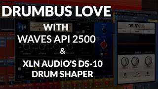 Drumbus Love w Waves Api 2500 amp XLN Audios DS10 Drum Shaper [upl. by Nodyarg]