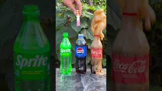 “Mentos and Coke Explosion or Fizz” 😱🔥 experiment cokevsmentos [upl. by Ichabod]