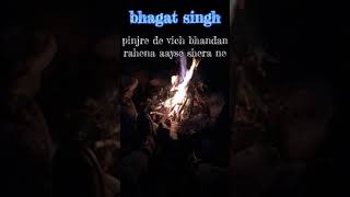 pinjre de vich bhand ni rahana aaise shera nedj remix bhagat singh song  lofi पिंजरे दे वीच [upl. by Mattson]