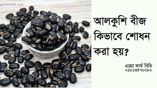 আলকুশি বীজ কিভাবে শোধন করা হয় 06 How to purefied alkushi seeds with milk [upl. by Attalanta]