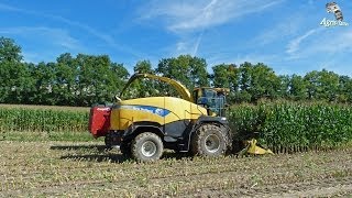 New Holland FR9050  Corn Silage [upl. by Gabbie]