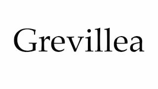 How to Pronounce Grevillea [upl. by Marthena]