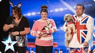 Get down to the UK Doggy Disco  Britains Got Talent 2014 [upl. by Enelyar]