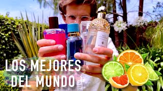 Los Mejores Perfumes Cítricos Del Mundo [upl. by Anneirb]