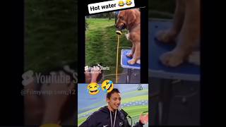 new funny short 😂🤣 Mustsee fyp dogsofyoutube ytshorts motivation inspiration funny trending [upl. by Groscr83]