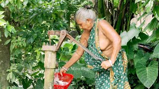 FISH CURRY Recipe  Traditional Fish Curry Recipe Cooking by Village GRANDMOTHERVillage Food Recipe [upl. by Bilbe]