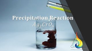 STECHIOMETRIA  Precipitazione del Cromato di argento Ag2CrO4  Educ  FullHD [upl. by Trahern78]