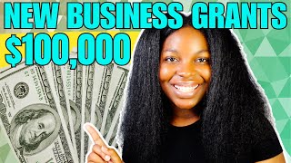 100K Small Business Grants to Apply for Now  August 2024 [upl. by Nylaroc154]