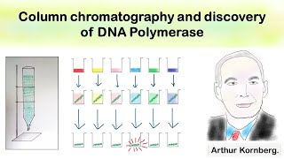 Column chromatography and discovery of DNA polymerase [upl. by Aida]