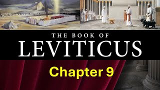 Leviticus Chapter 9 NRSV [upl. by Argela319]