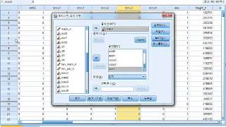 IBM SPSS Statistics를 활용한 로지스틱 회귀모형 분석 [upl. by Gravante]