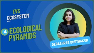 Lec4  Ecological Pyramids  Ecosystem  Debashree Borthakur biology science ecosystem [upl. by Kehsihba]