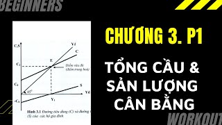 KINH TẾ VĨ MÔ  Chương3 P1 Tổng cầu và chính sách tài khóa  Tổng cầu là gì [upl. by Kalli583]