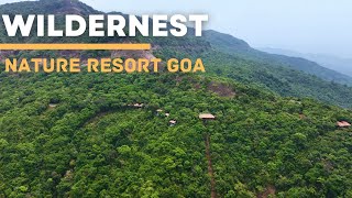 WILDERNEST NATURE RESORT  GOA [upl. by Hodges]