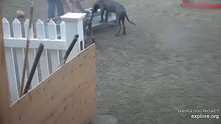 Arena Brekkies 2 Blues Emeline edited rules 5142024 exploreorg [upl. by Aened]