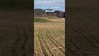 Exploring Alabama Native American Mounds shorts youtubeshorts nativeamerican [upl. by Lexerd]