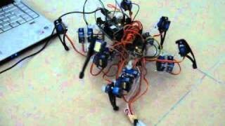 Spider Robot using Arduino and Processing [upl. by Ecal590]