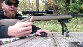 Review 450 Bushmaster testing Hodgdon Lil gun and the Hornady 200gr FTX [upl. by Nivloc]