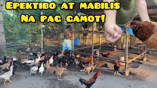 PINAKAMABILIS NA PAG GAMOT SA SIPON NG MANOK [upl. by Ulla]