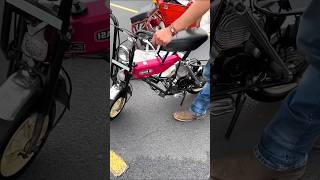 Expensive bike shorts explain shortvideo [upl. by Clougher]