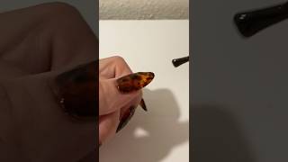 Tortoise shell nails  Born Pretty jelly gel polish nail art [upl. by Ahsrat]