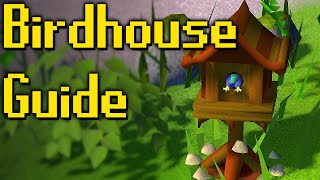 How To Start Birdhouses On Ironman Its SO Easy [upl. by Lemej]