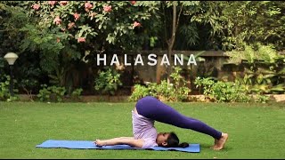 How to Halasana [upl. by Diskson92]