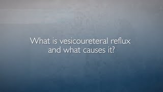 Vesicoureteral Reflux VUR  FAQ with Dr Heather Di Carlo [upl. by Derayne]