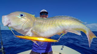 GIANT Deep Sea GOLDEN Tilefish Catch Clean Cook Slow Pitch Jigging [upl. by Corilla]