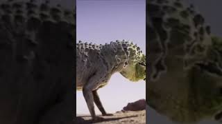 Héroes del Triásico documental dinosaurios tierra [upl. by Cyrie]