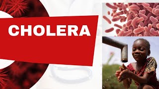 CHOLERA SYMPTOMS amp TREATMENT WHAT YOU NEED TO KNOW 2024 [upl. by Edya]