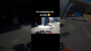 Pobre mi espejo 😔 🤣 unpollitosobre2ruedas motos bikers motovlog biker moto [upl. by Lateh]