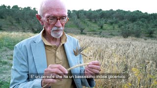 Dr Franco Berrino a San Floro Calabria  Mulinum [upl. by Hayley]