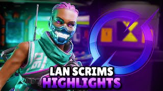 ALGS LAN SCRIM HIGHLIGHTS 10 Games DZ Zer0 [upl. by Notniuqal]