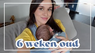 DIT IS INTENS  VERBORGEN REFLUX amp NIEUWE DRAAGZAK UNBOXEN  6 WEKEN POSTPARTUM UPDATE [upl. by Joela]