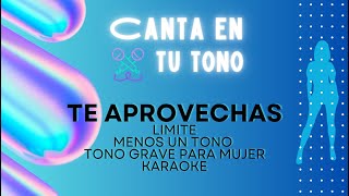 Te Aprovechas  Límite  Karaoke  Menos un tono grave  Tono de mujer [upl. by Clemence]