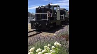 Napa Valley Wine train accident [upl. by Sada]