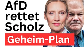 Keine Neuwahlen Scholz Vertrauen aussprechen Merz stoppen [upl. by Okeim]