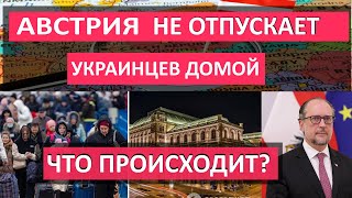 Почему АВСТРИЯ НЕ ОТПУСКАЕТ украинцев СКОЛЬКО ПОЛУЧАЮТ беженцы в Австрии КАК ОФОРМИТЬ защиту [upl. by Aniwde]