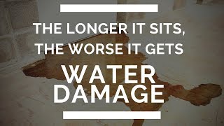 Water Damage Restoration  What To Do After Home Flooded [upl. by Eenyaj]