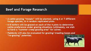 Southern University Beef amp Forage Program  Dr Pat Bagley [upl. by An]