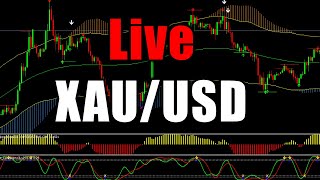 Live on XAUUSD and EURUSD Signals Forecast Outlook Potential Trade Gold [upl. by Jordison146]